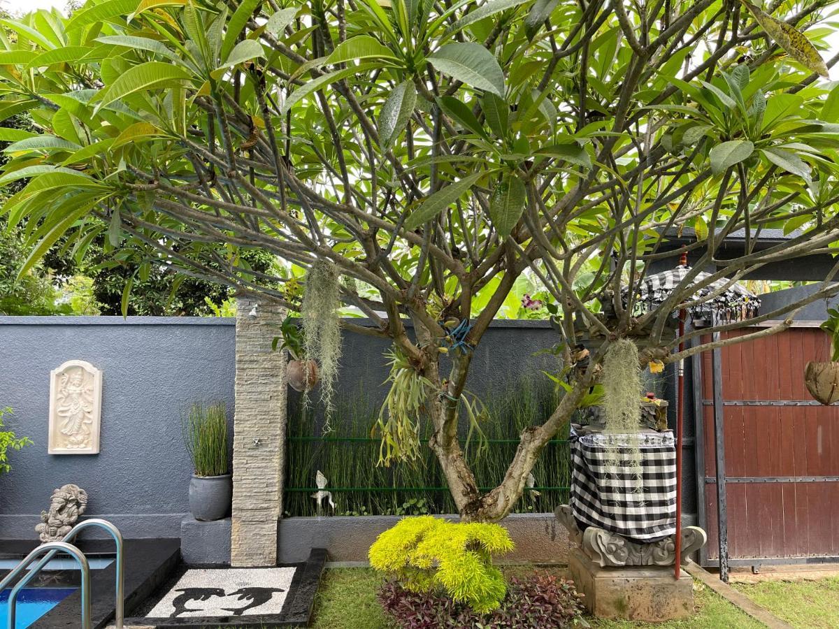 Mias Jungle House Hotel Lovina  Exterior photo