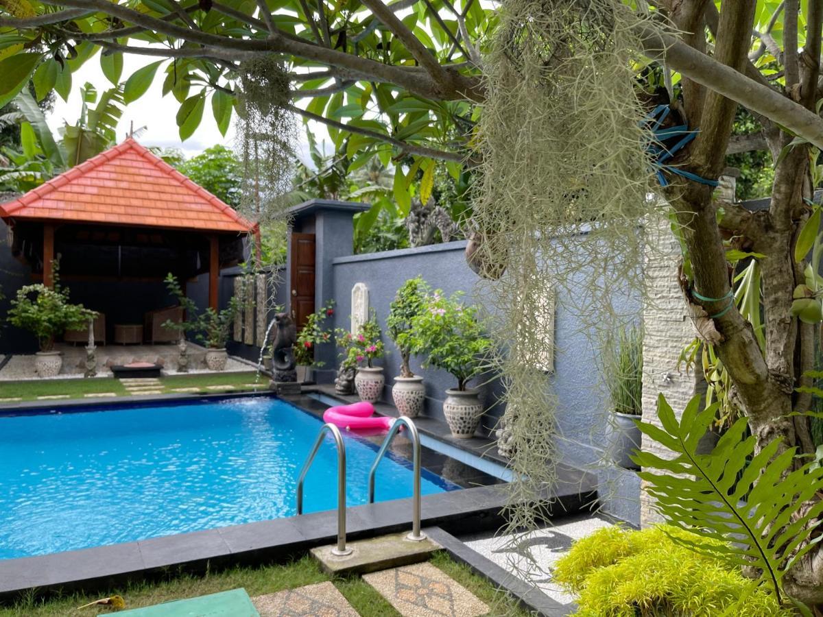 Mias Jungle House Hotel Lovina  Exterior photo